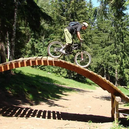 Гостевой дом Alfa