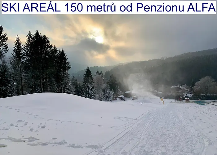 Alfa Pensionat Železná Ruda